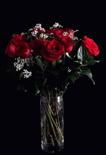 バレンタインのばら - dozen roses rose flower arrangement red ストックフォトと画像