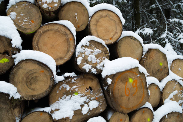 istock Winter and snow in Germany 1129691920