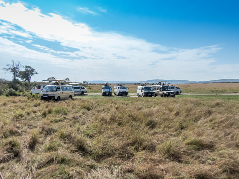 Masai Mara, KENYA - September 5, 2018. A group of safari vans and jeeps full of tourists are posted in the savannah to observe wild animals