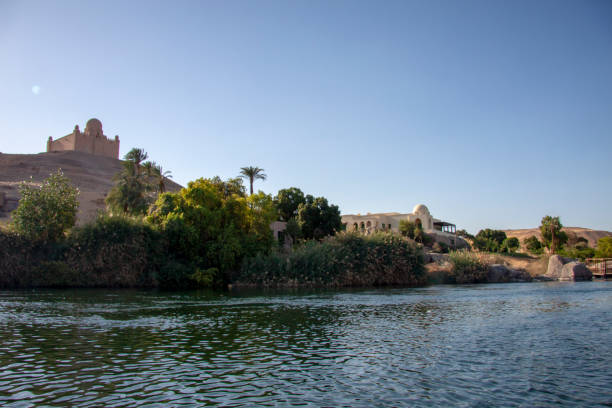 istock Banks of The Nile River 1129695203
