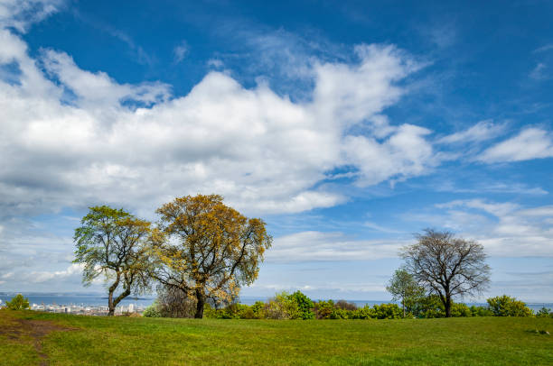 Holyrood park with and blue sunny sky, Edinburgh, Scotland