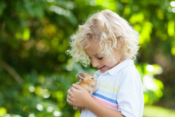 istock Child with rabbit. Easter bunny. Kids and pets. 1129696681