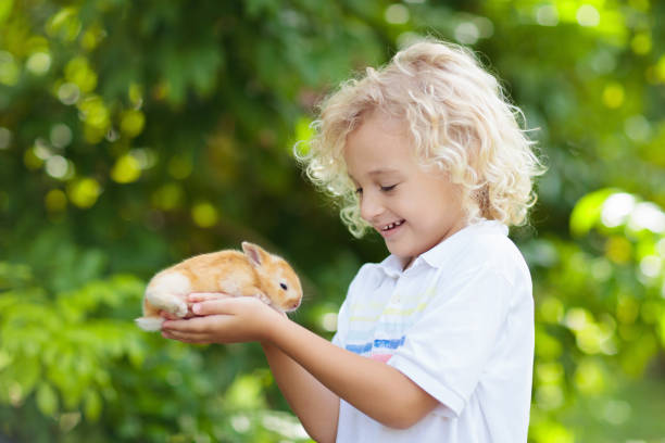 istock Child with rabbit. Easter bunny. Kids and pets. 1129698426