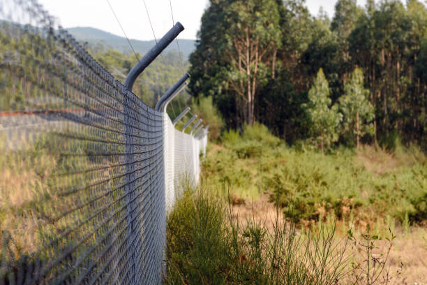 istock barbed wire fence in the forest close-up 1129700985