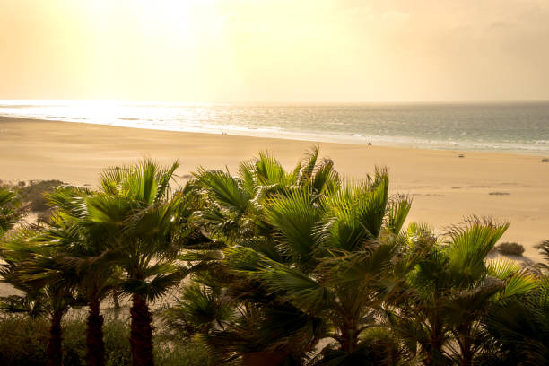 View down to sea near Jandia on Fuerteventura