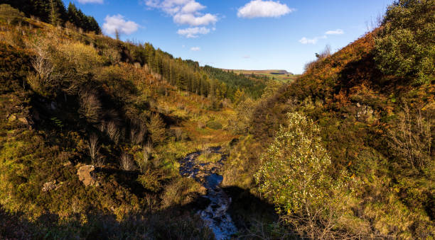 istock Valley with bushes and trees in beautiful autumn colors with river beneath and puffy clouds in blue sky 1129710285