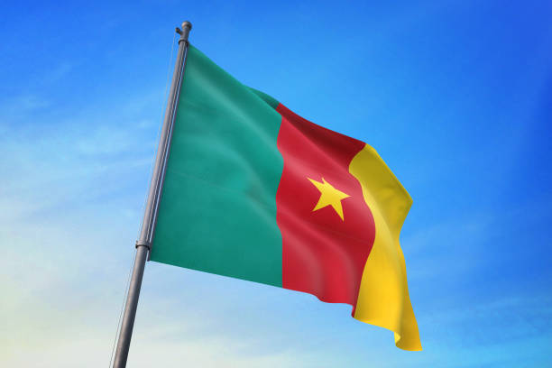 Background with flag of Cameroon