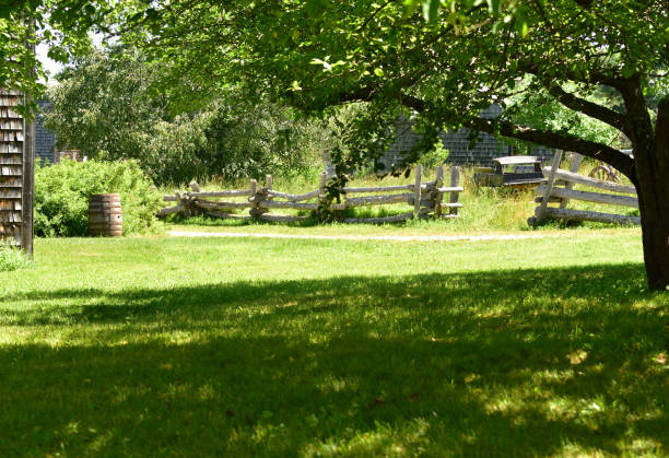 istock Tree Shade on the Farm in Summer 1129724772