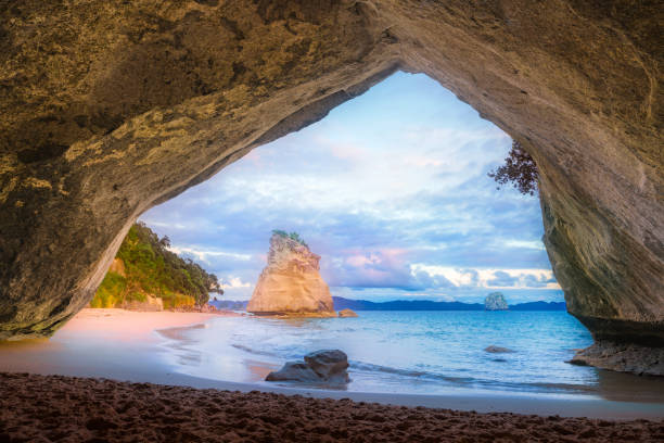 ver os da caverna na catedral enseada, coromandel, nova zelândia, 6 - new zealand cathedral cove sea sand - fotografias e filmes do acervo