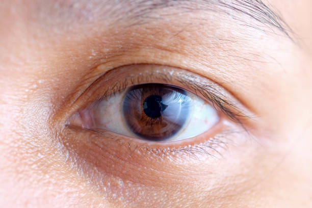 istock Close-Up Portrait Of Human Eye 1129727879