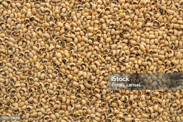 Lima Beans Or Lunar Beans White Beans Source Of Carbohydrates Contains Little Protein Add To Your Diet Diet Veganism Background Image Selective Focus Stock Photo - Download Image Now
