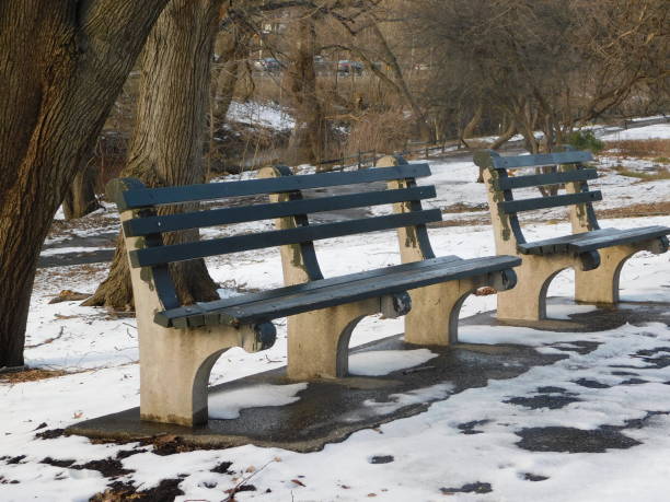 istock Two empty benches in the snow at Bronx river park 1129733905