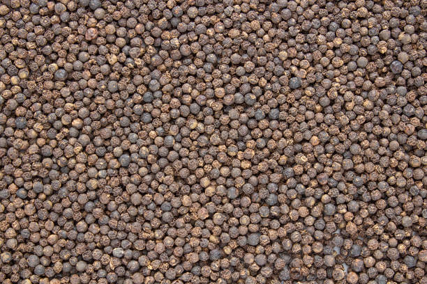 Black Pepper (Piper nigrum). Spice, seasoning, food supplement. Promotes digestion and improves appetite. Add to your diet. Background image. Black Pepper (Piper nigrum). Spice, seasoning, food supplement. Promotes digestion and improves appetite. Add to your diet. Background image. интерьер помещений stock pictures, royalty-free photos & images