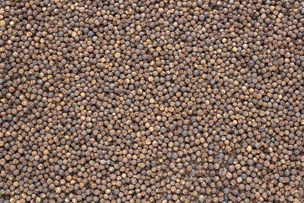 Black Pepper (Piper nigrum). Spice, seasoning, food supplement. Promotes digestion and improves appetite. Add to your diet. Background image. Black Pepper (Piper nigrum). Spice, seasoning, food supplement. Promotes digestion and improves appetite. Add to your diet. Background image. интерьер помещений stock pictures, royalty-free photos & images
