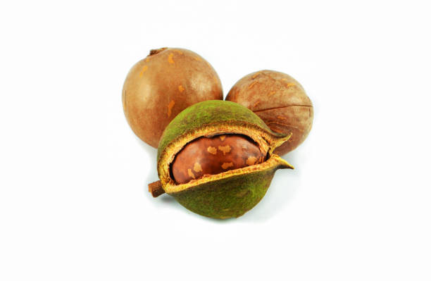 istock Organic macadamia nuts isolated on white background - King of nuts 1129736800
