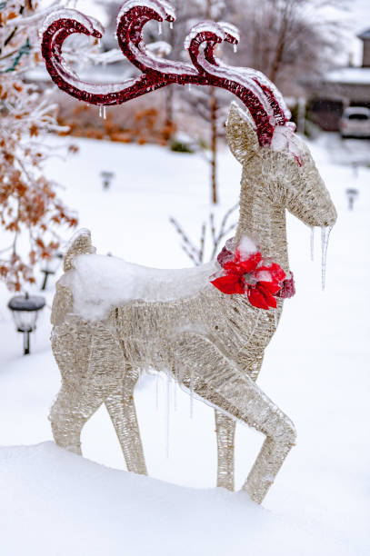istock Freezing Rain Storm in December, Toronto, Ontario, Canada 1129737208