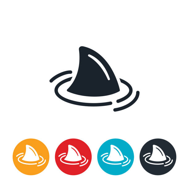 Shark Icon An icon of a sharks fin poking out of the water. animal fin stock illustrations