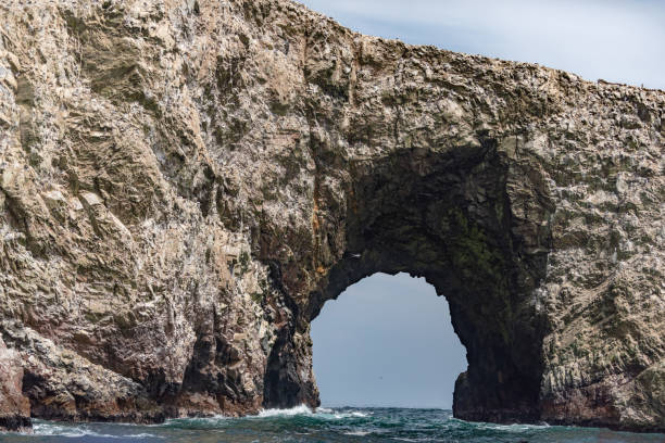 istock Ballestas Islands National Reserve, Peru 1129746035