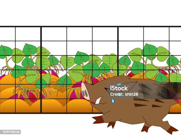 Vetores de Animal E Colheita e mais imagens de Colheita - Colheita, Legume, Varrão