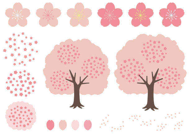 Cherry blossoms related to cherry blossoms · cherry blossoms · flower · petal material collection Cherry blossoms related to cherry blossoms · cherry blossoms · flower · petal material collection パンフレット stock illustrations