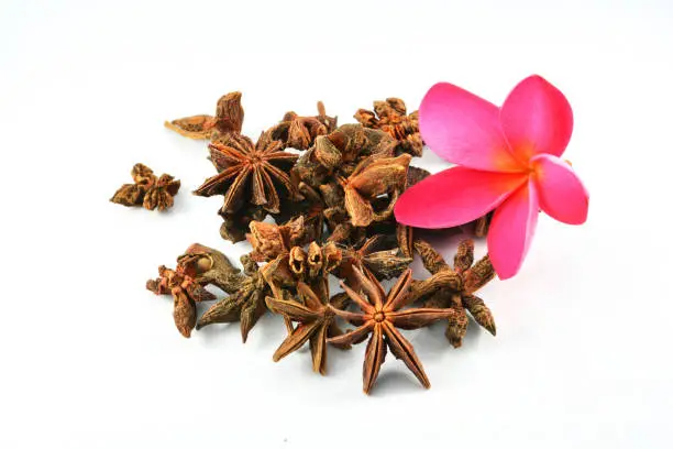 Photo of Chinese spice star anise fruit and pink flower isolated on white background / Star aniseed Badian khatai