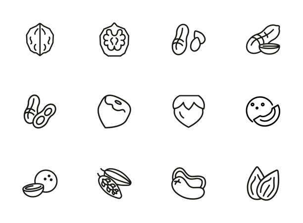 набор значков линии орехов. арахис, орех орешник, миндаль - protein isolated shell food stock illustrations