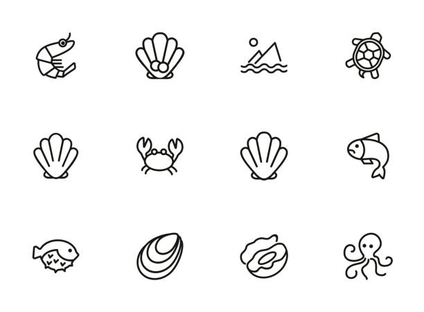 ภาพประกอบสต็อกที่เกี่ยวกับ “ชุดไอคอนเส้นอาหารทะเล กุ้ง, เปลือกหอย, เต่า - ปลาปักเป้า ปลาเขตร้อน”
