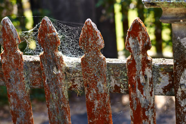 Close up of very old picket fence from grave site showing age and weathering over previous 150 years , Auckland New Zealand
