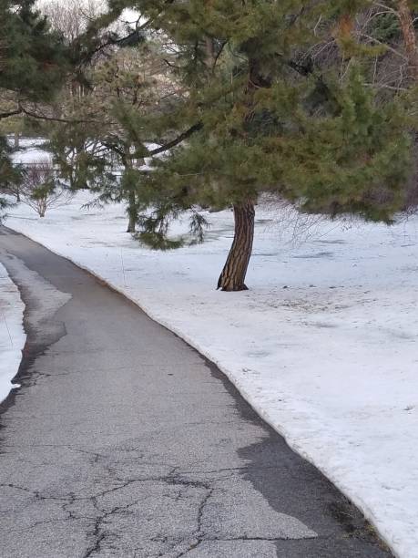 istock Path in the park in the snow 1129766516