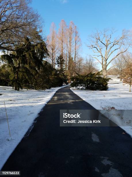 Path In The Park In The Snow Stock Photo - Download Image Now - Adventure, Beauty, Beauty In Nature