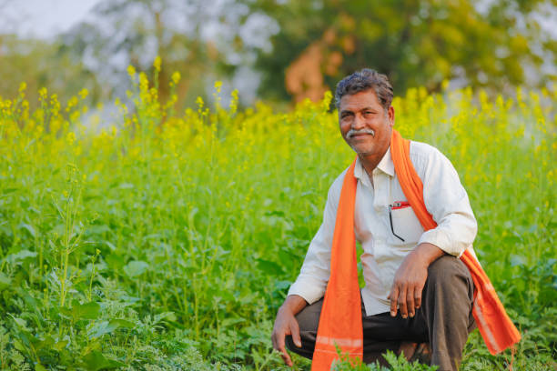istock Indian farmer at black mustard  field 1129769922