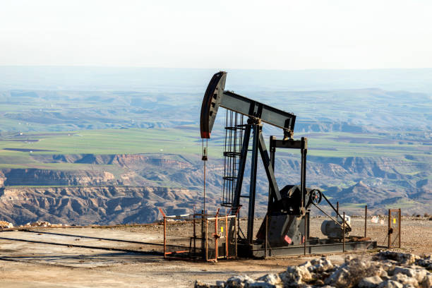 vue de la pumpjack dans le puits de pétrole du champ d'huile. l'agencement est couramment utilisé pour les puits terrestres produisant peu d'huile. les pumpjacks sont fréquents dans les zones riches en pétrole. - industrie du pétrole photos et images de collection