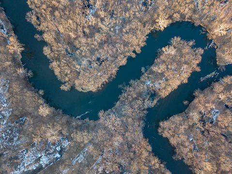 A river corkscrews through a forest from an aerial view