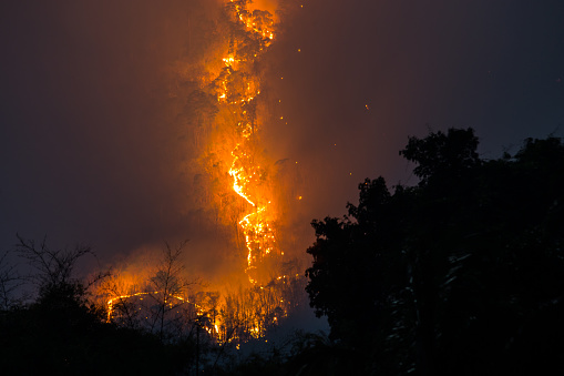 Forest fire at Phulaung wildlife sancetury,Thailand.