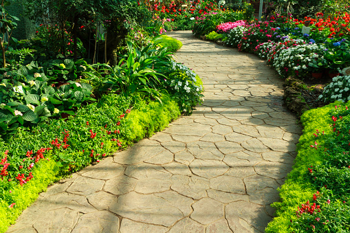 Stone walkway in flower garden. Annual flower exhibition in Chiang Mai, Thailand.