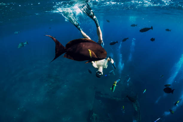 istock Free diver man dive in ocean with fish, underwater 1129781666