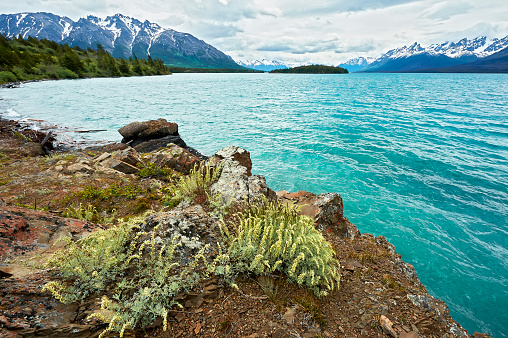 Scenic view of Chilko Lake with its turquoise water, and snow-covered mountains and a cloudy sky as background, British Columbia, Canada