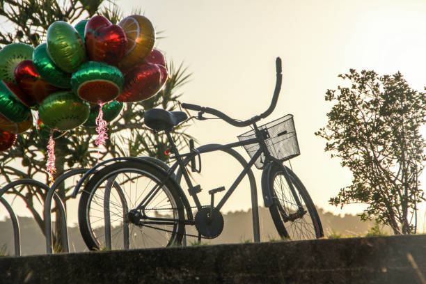 bicicleta atrapado en un portabicicletas en el amanecer de río de janeiro - brazil bicycle rio de janeiro outdoors fotografías e imágenes de stock