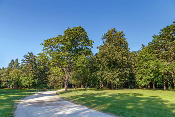 istock Palanga Botanical Park, Linuania 1129790042