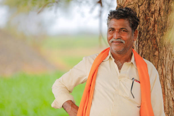 istock Indian farmer at green corn field 1129793514