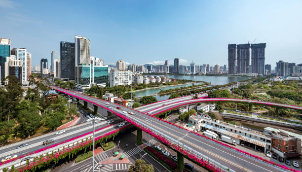 istock Bougainvillea in City Landscape 1129795897