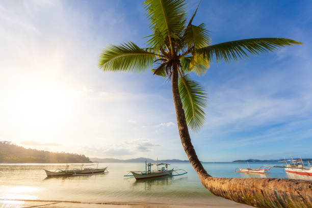 istock Sunny afternoon at Port Barton Beach, Palawan 1129798568
