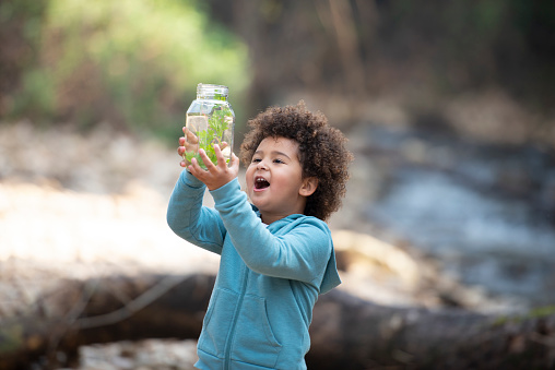 Excited 5 years mixed race girl with beautiful curly afro hair standing in the forest, holding the jar with a plant and insect inside, lifting the jar up looking inside. The child looks content.