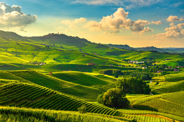 Langhe vineyards view, Barolo and La Morra, Piedmont, Italy Europe. Langhe vineyards sunset panorama, Barolo and La Morra, Unesco Site, Piedmont, Northern Italy Europe. langhe photos stock pictures, royalty-free photos & images