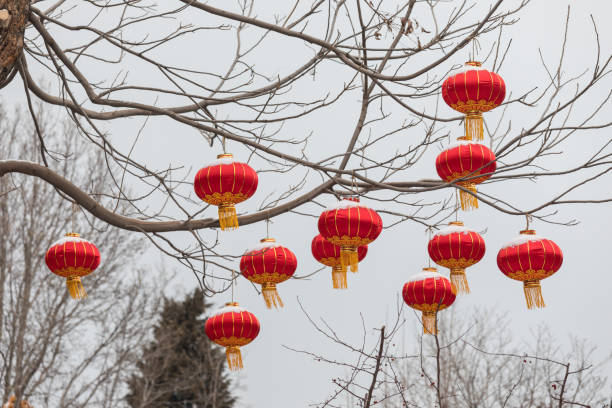 istock Red Chinese lanterns hanging on a branch 1129805823