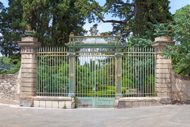 istock Botanical garden of Montpellier 1129807953