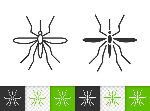 Mosquito simple bug black line insect vector icon vector art illustration