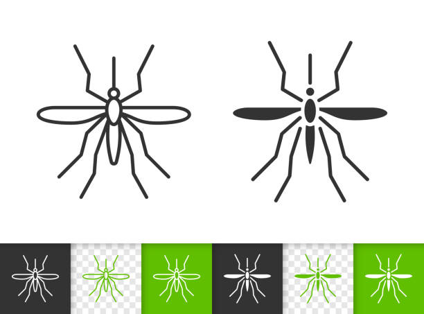 Mosquito simple bug black line insect vector icon Mosquito black linear and silhouette icons. Thin line sign of insect. Bite outline pictogram isolated on white, color, transparent background. Bug vector Icon shape. Entomology simple symbol closeup pest control logos silhouette stock illustrations