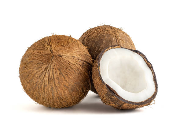 Coconut. Whole and half isolated on white background. Side view. stock photo