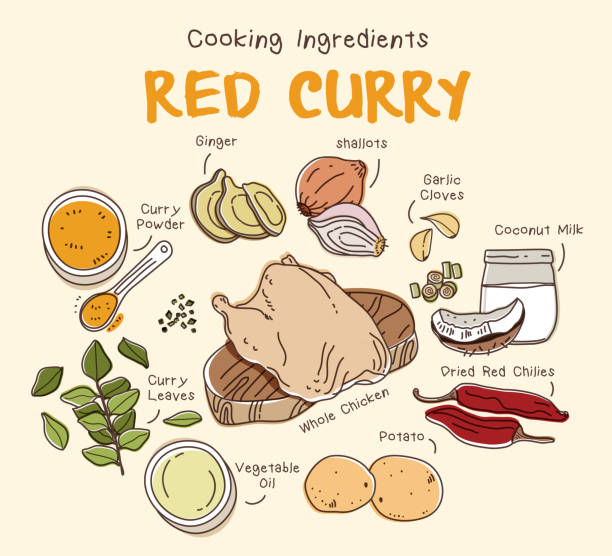 Red curry with chicken ingredients set Hand drawing Vector kaffir stock illustrations